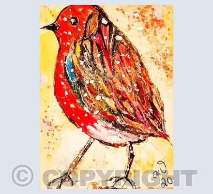 Rainbow Robin 