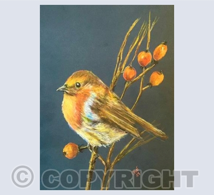 Pencil Robin 