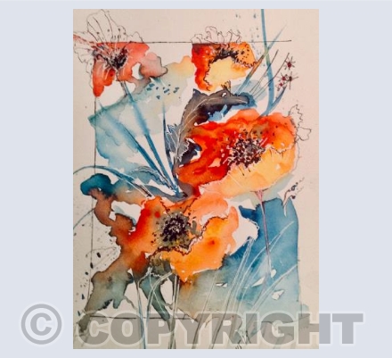 Papaver