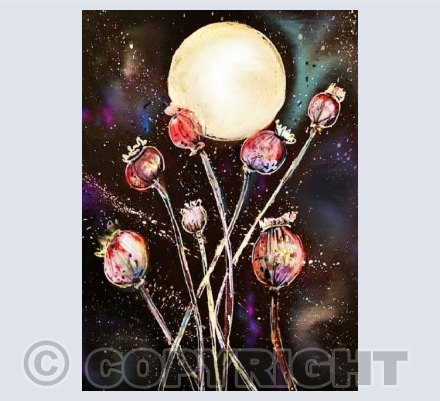 Poppy Moon