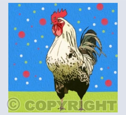 ‘Spot The Cockerel’