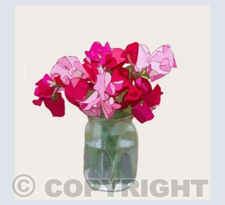 ‘A Jam Jar Of Fuchsia’