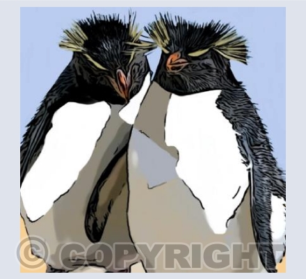‘Picking Up A Penguin’