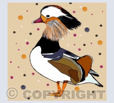 'Spotty Mandarin Duck'