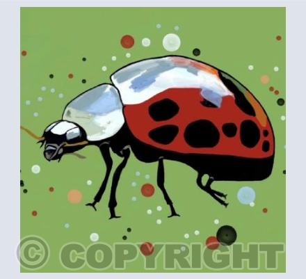'Spotty Ladybird'