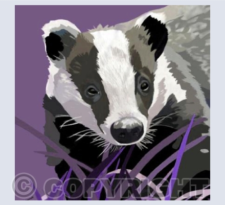 'Brock The Badger'