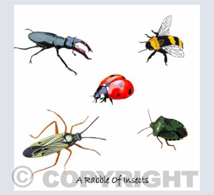 'A Rabble Of Insects'