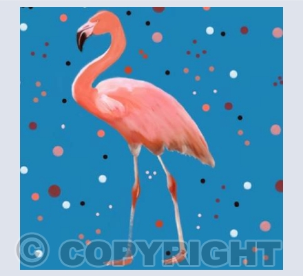 "Spotty Flamingo'