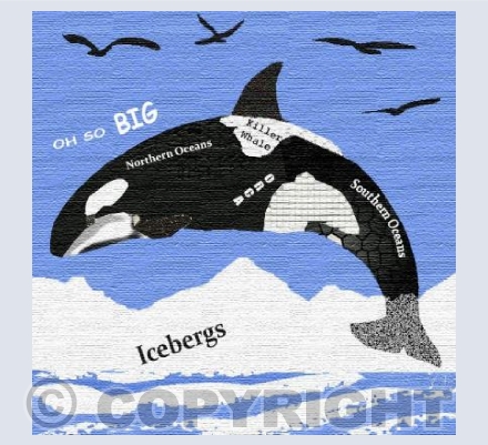 'Orca'