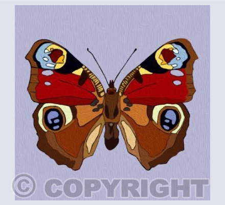 'Texturised Peacock Butterfly'