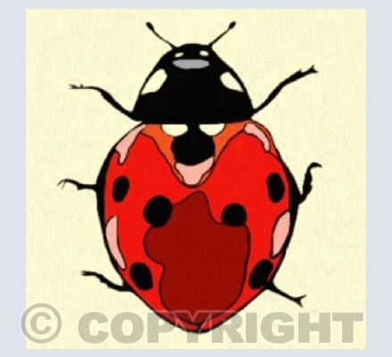 'Texturised Ladybird'