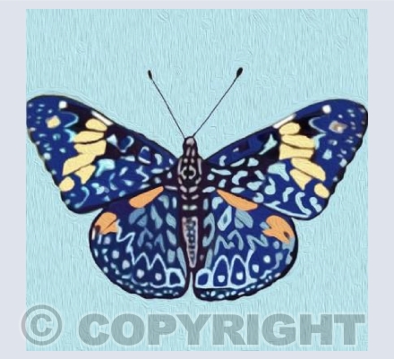 'A Red Cracker Butterfly'