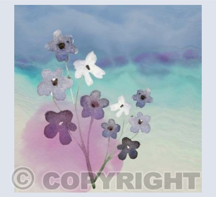 'The Ocean Never Forgets'