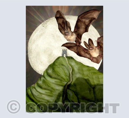 'Bats in Avalon'