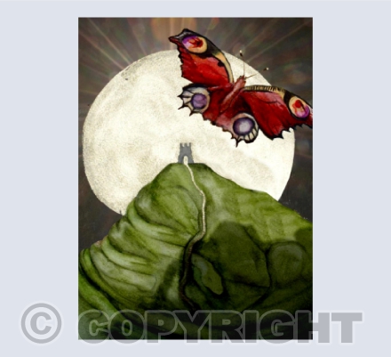 The Glastonbury Butterfly