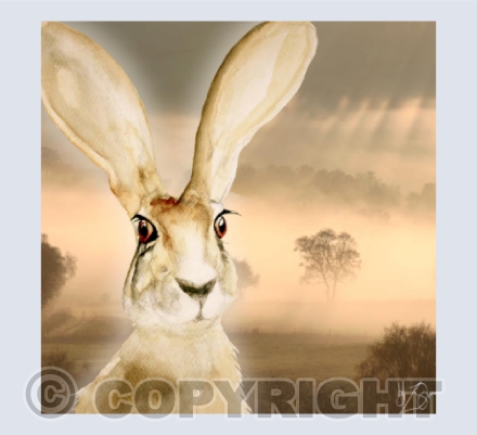 'Mistical Moelfre Har' Glyndwr's Way, Llanidloes, Mid-Wales