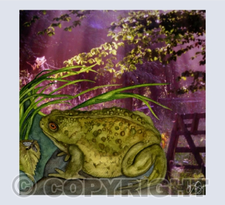 'Toad of Waen Hall' Llanidloes, Mid-Wales