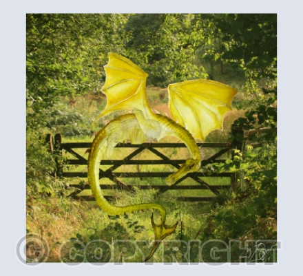 'Dragon's Gate' Tylwch, Mid-Wales