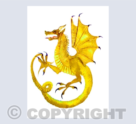 'Draig Aur' (Welsh:Golden Dragon)