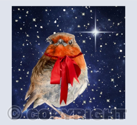 CHRISTMAS ROBIN GUIDING STAR