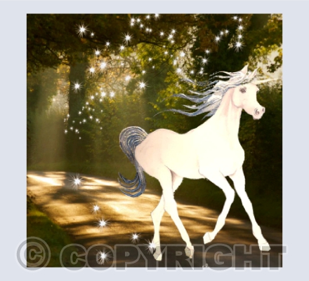 ABBEY ROAD UNICORN BLESSING