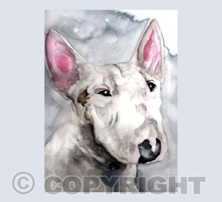 ENGLISH BULL TERRIER