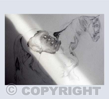 FORTUNE FAVOURS THE BRAVE