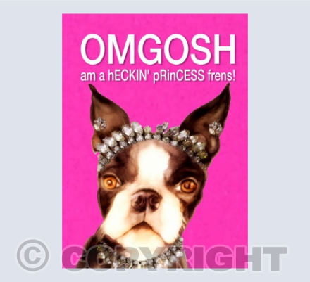 OMGOSH BOSTON PRINCESS