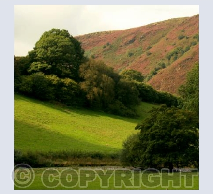  TYWLCH  Llanidloes, Powys WALES