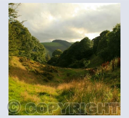  TYWLCH  Llanidloes, Powys WALES