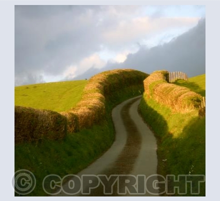  TYLWCH to LLANIDLOES