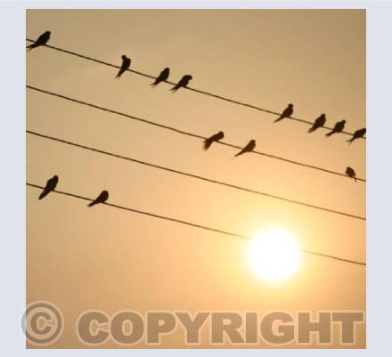 "THE SUN BE UNDERIN"