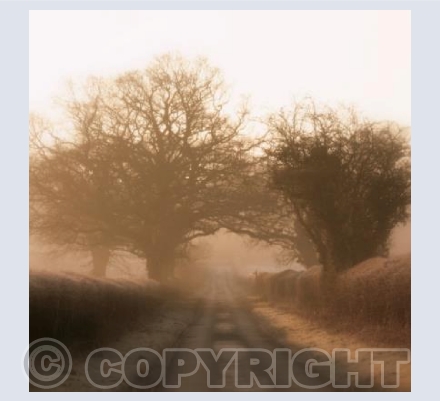 MAGIC in SHROPSHIRE