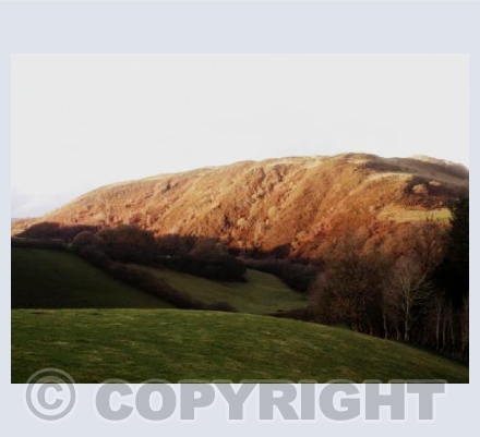 MAGIC MOUNTAIN Tylwch