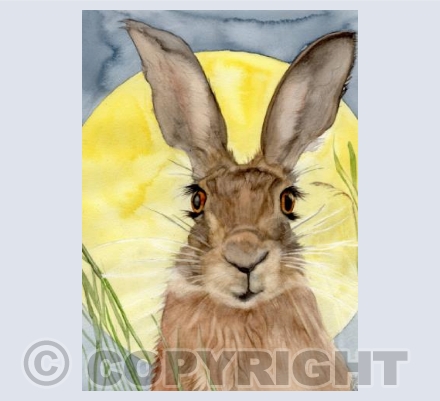 'SUMMERS END HARE'