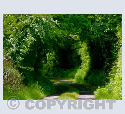 West Cork Portal 