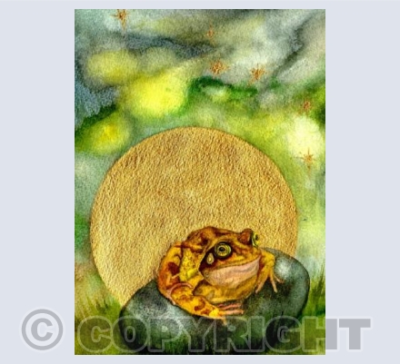 MOON FROG by Zoe Spencer