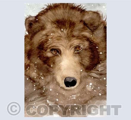 BIG BEAR