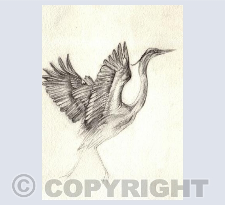 HERON ALIGHT
