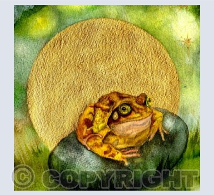 MOON FROG