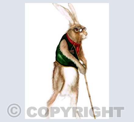 A SPECTACULAR HARE