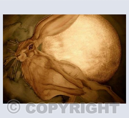 'HARVEST MOON HARE'