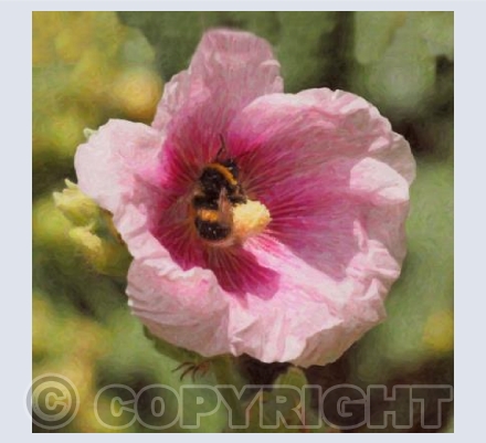 Rolling in nectar