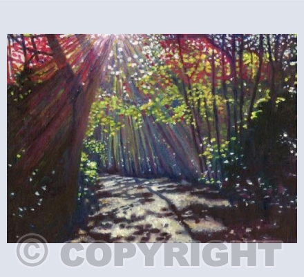 Scattered Light