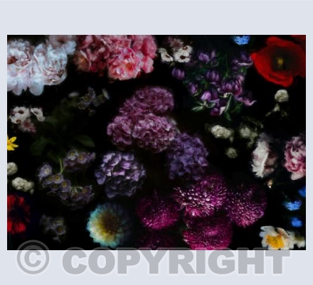 Dark floral