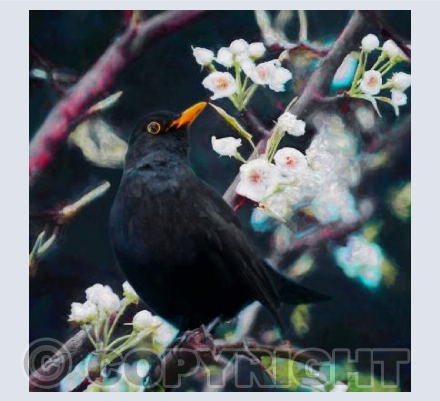 Lord of the summer song