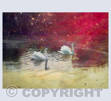 Frosted Lake