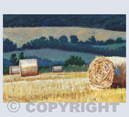 Haybales on Hillside