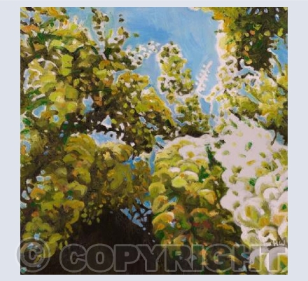 White Wisteria