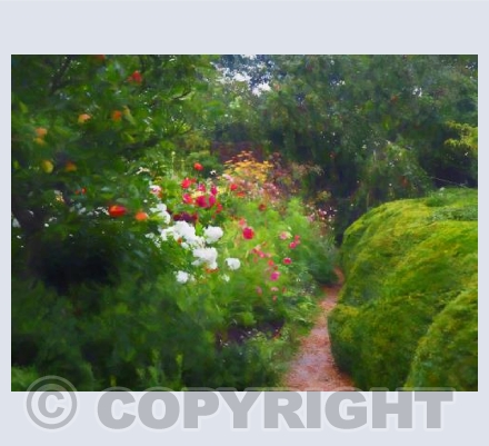 Up the garden path